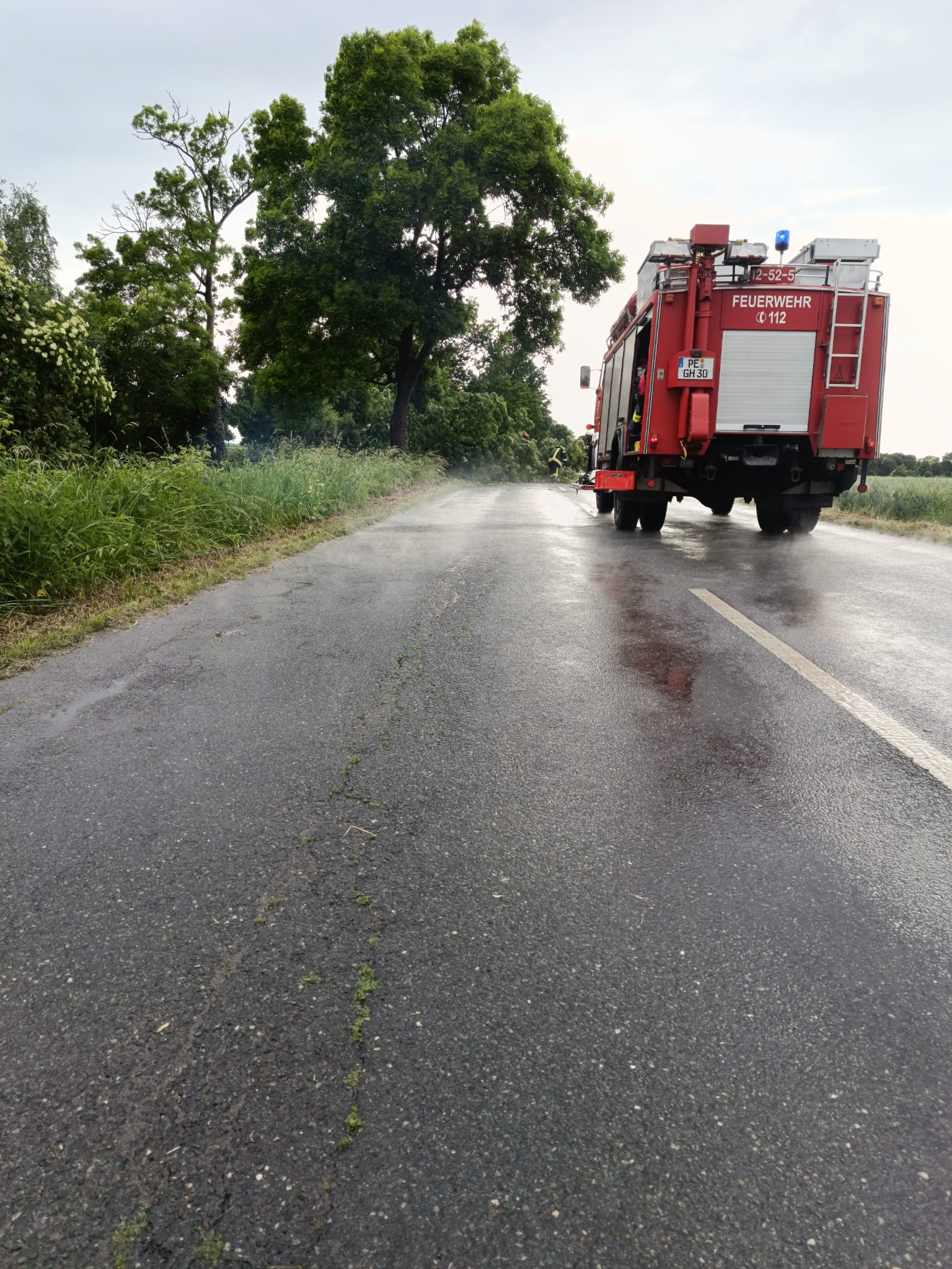 Baum auf Strasse 04.06. FF Hoha