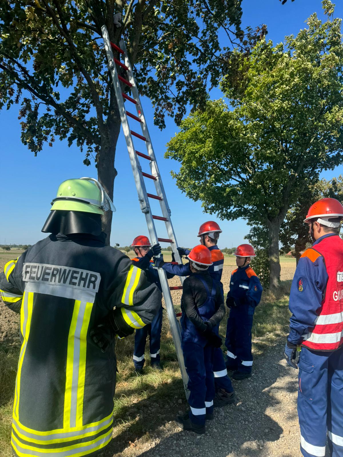 Rettung einer Katze vom Baum Rettung einer Katze vom Baum