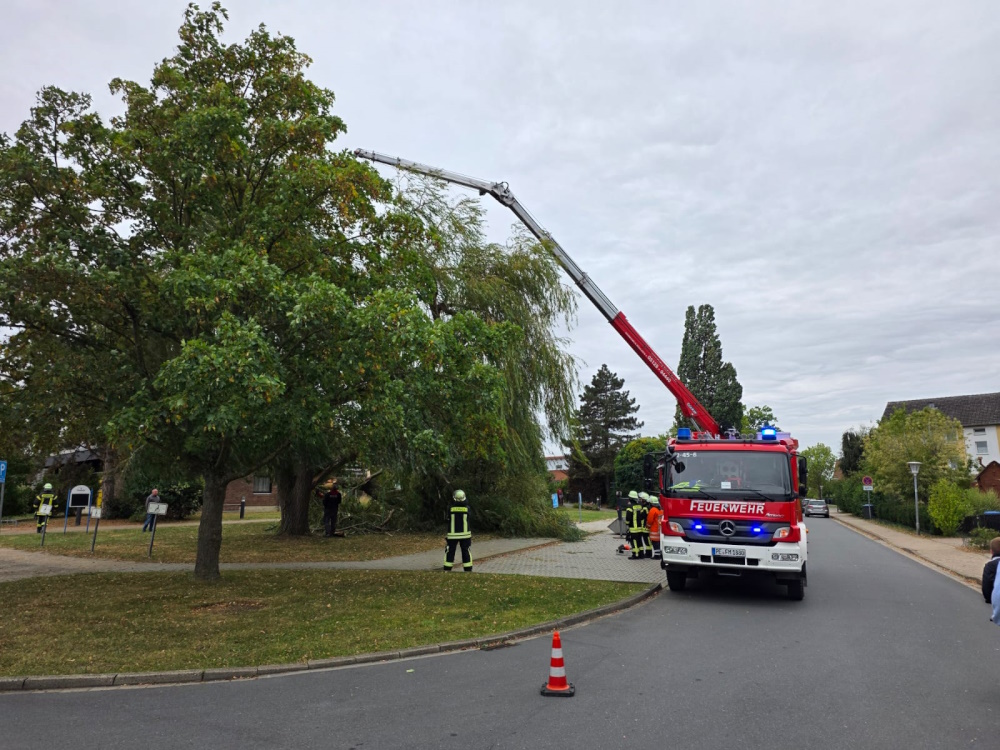 2025 09 25 Sturmschaden MehrumFeuerwehr2