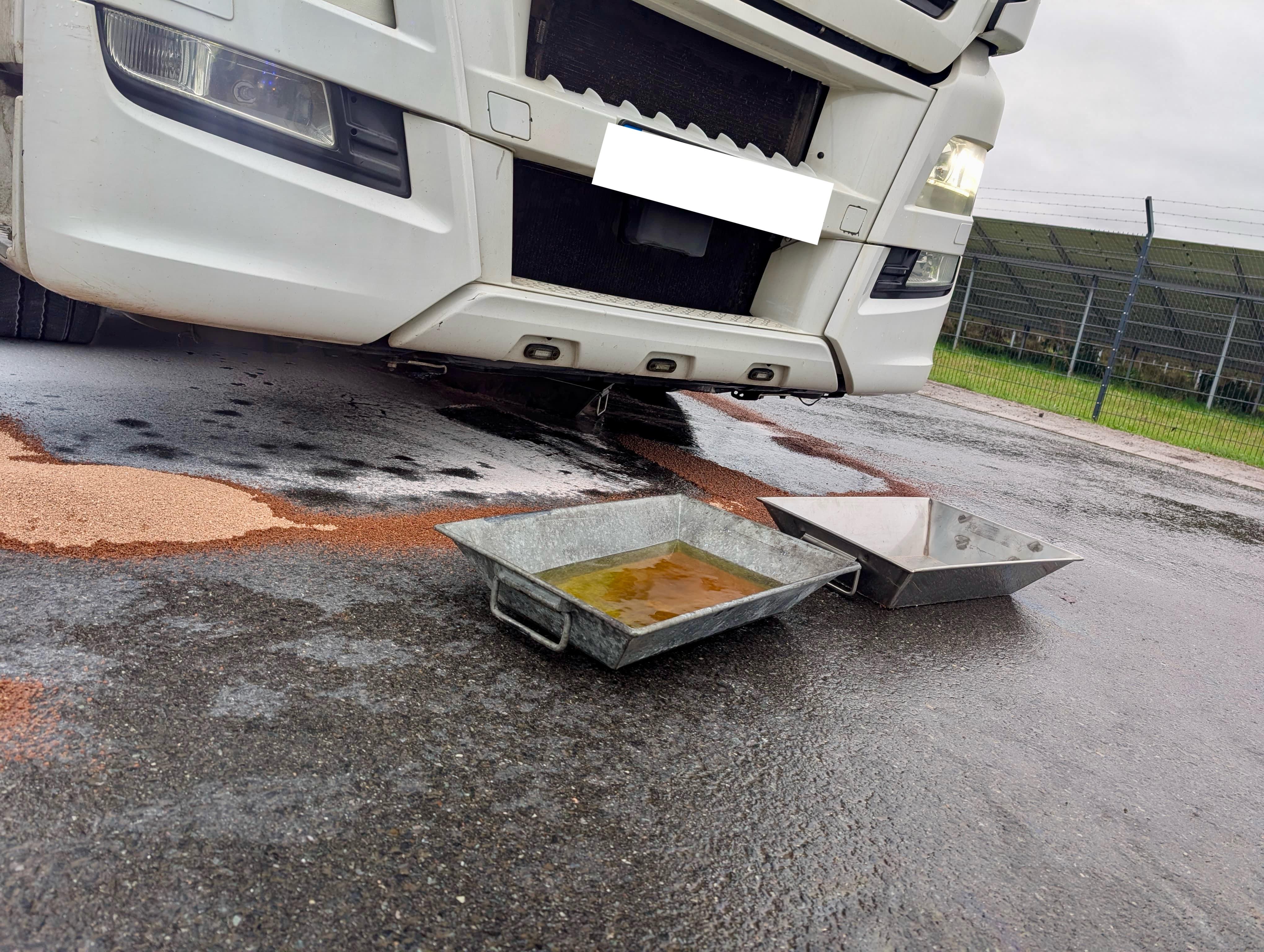 a21119ef-b9ff-4a6e-917f-794e614d5a2f