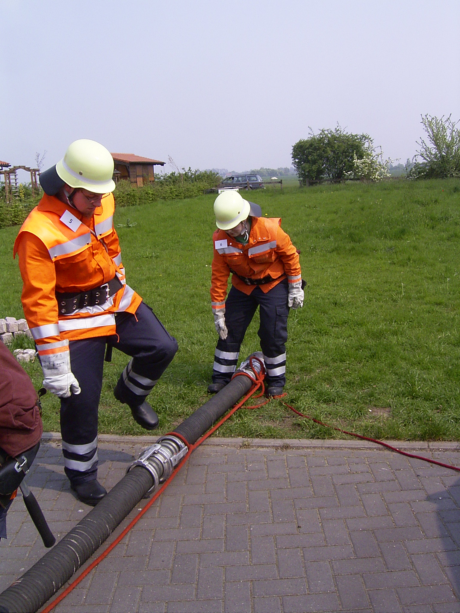 rimg0085_1.jpg
