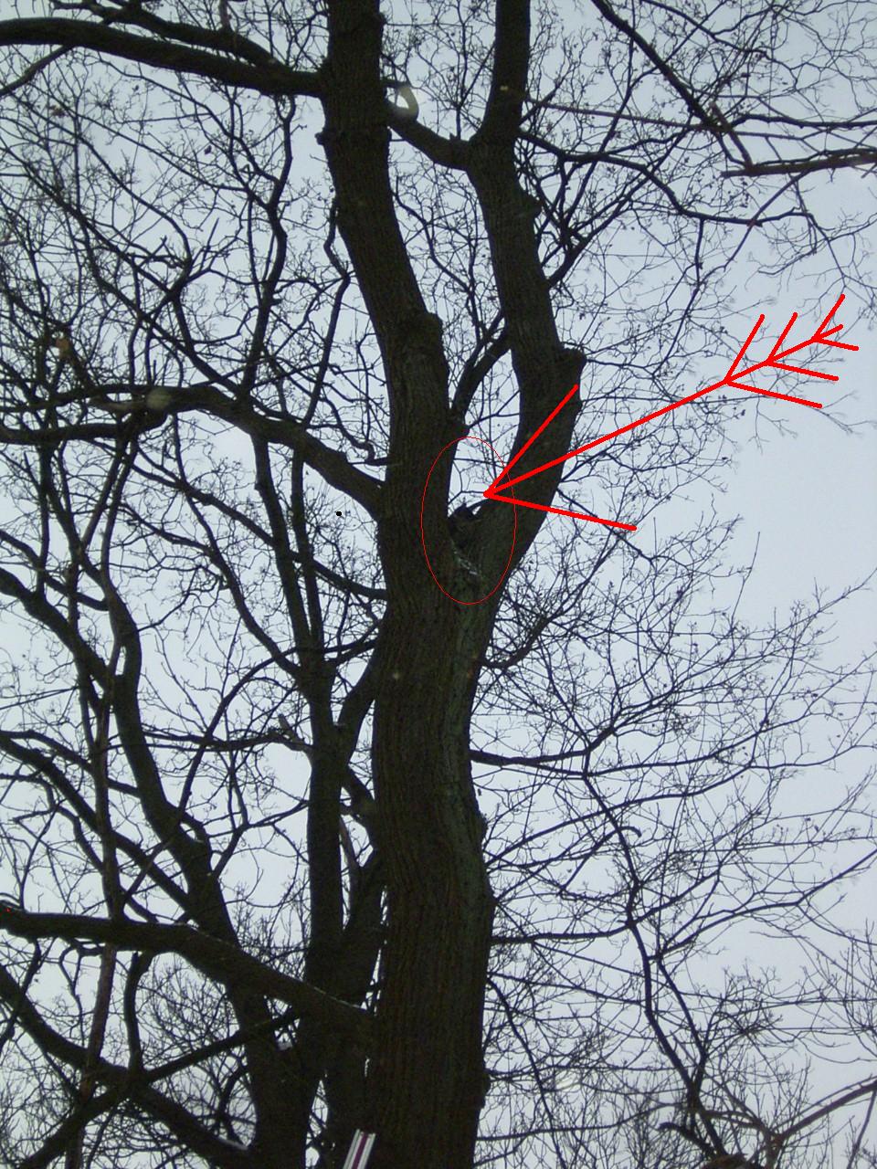 rimg0002.jpg