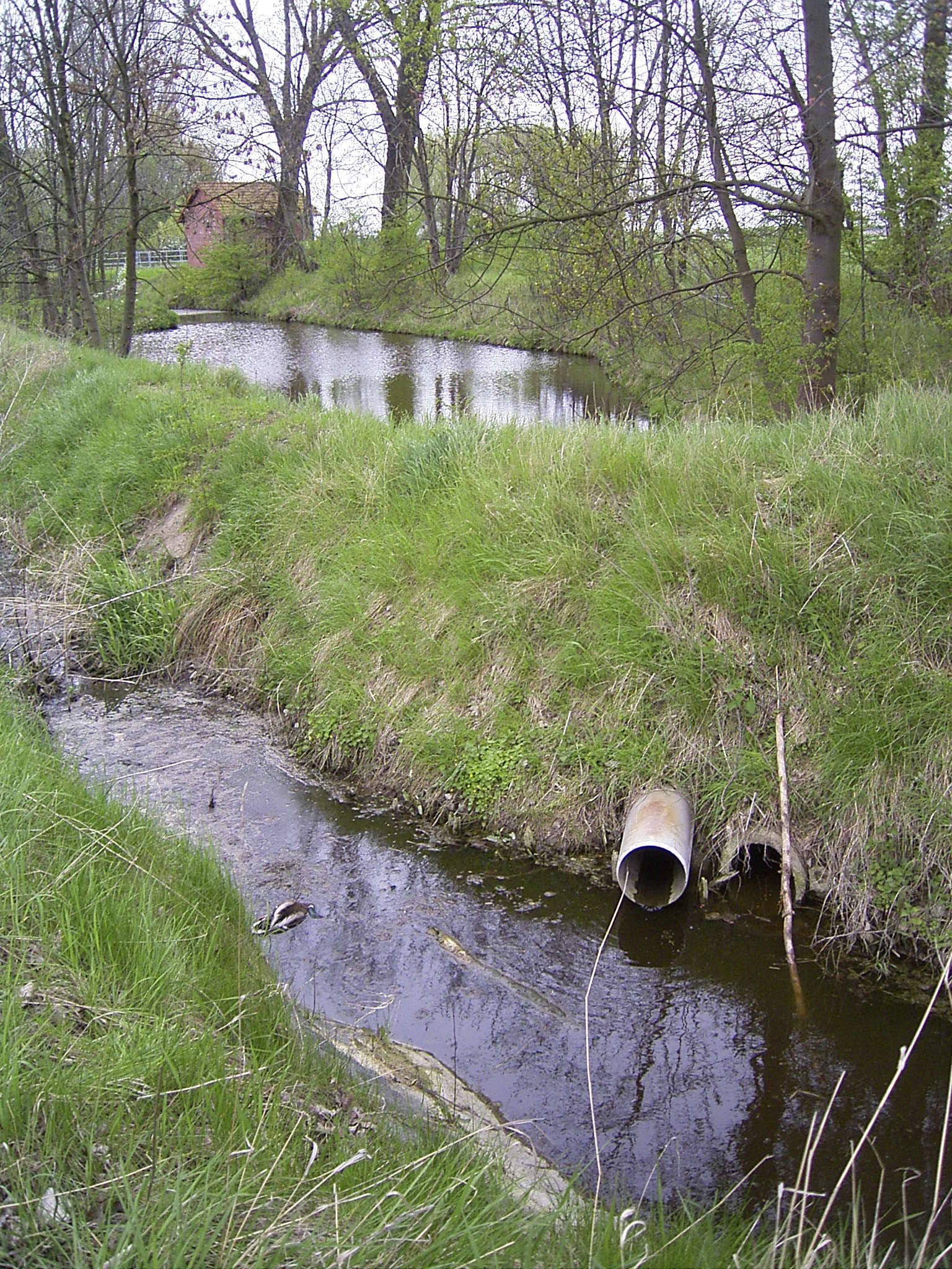 rimg0064.jpg