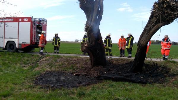 2015_04_16_baumbrand_ohlum_rtzum_haupt2a