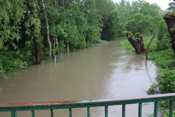 2013_05_26_hochwasser_gemhohenhameln_haupt3a