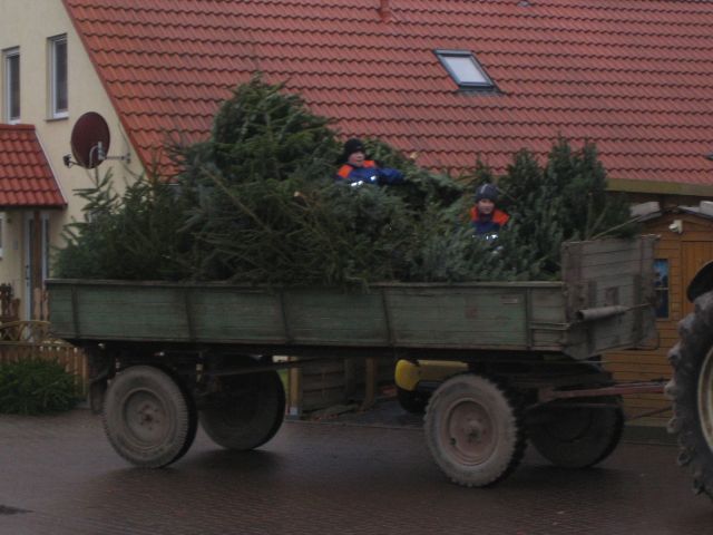 img_0669_netz.jpg